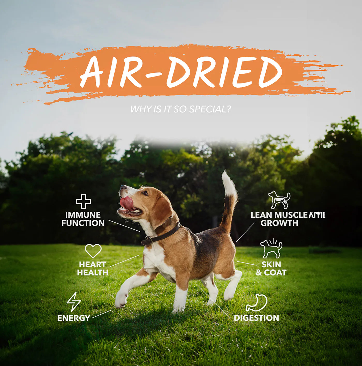 Air Dried - Why is it so special? - Immune Function - Heart Health - Energy - Lean Muscle Growth - Skin & Coat - Digestion