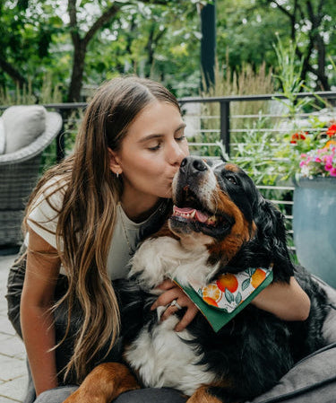 The Role of Diet In Supporting Your Dog’s Healthy Microbiome