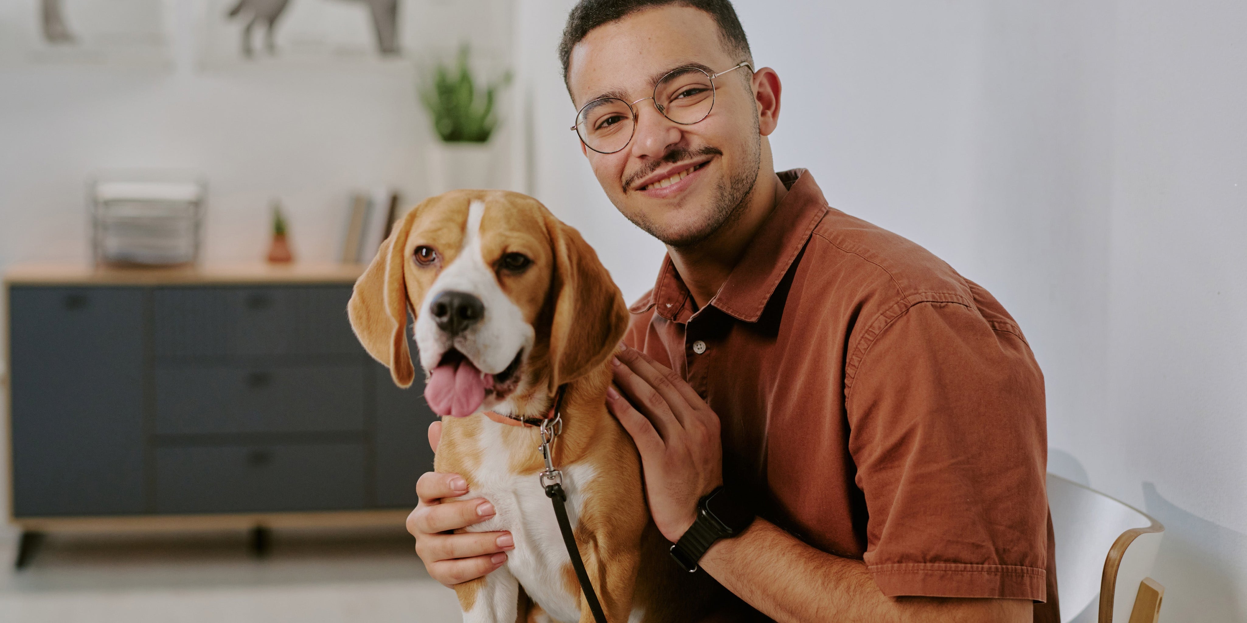 The Gut-Skin Connection in Dogs – And Why Food May Be the Missing Link