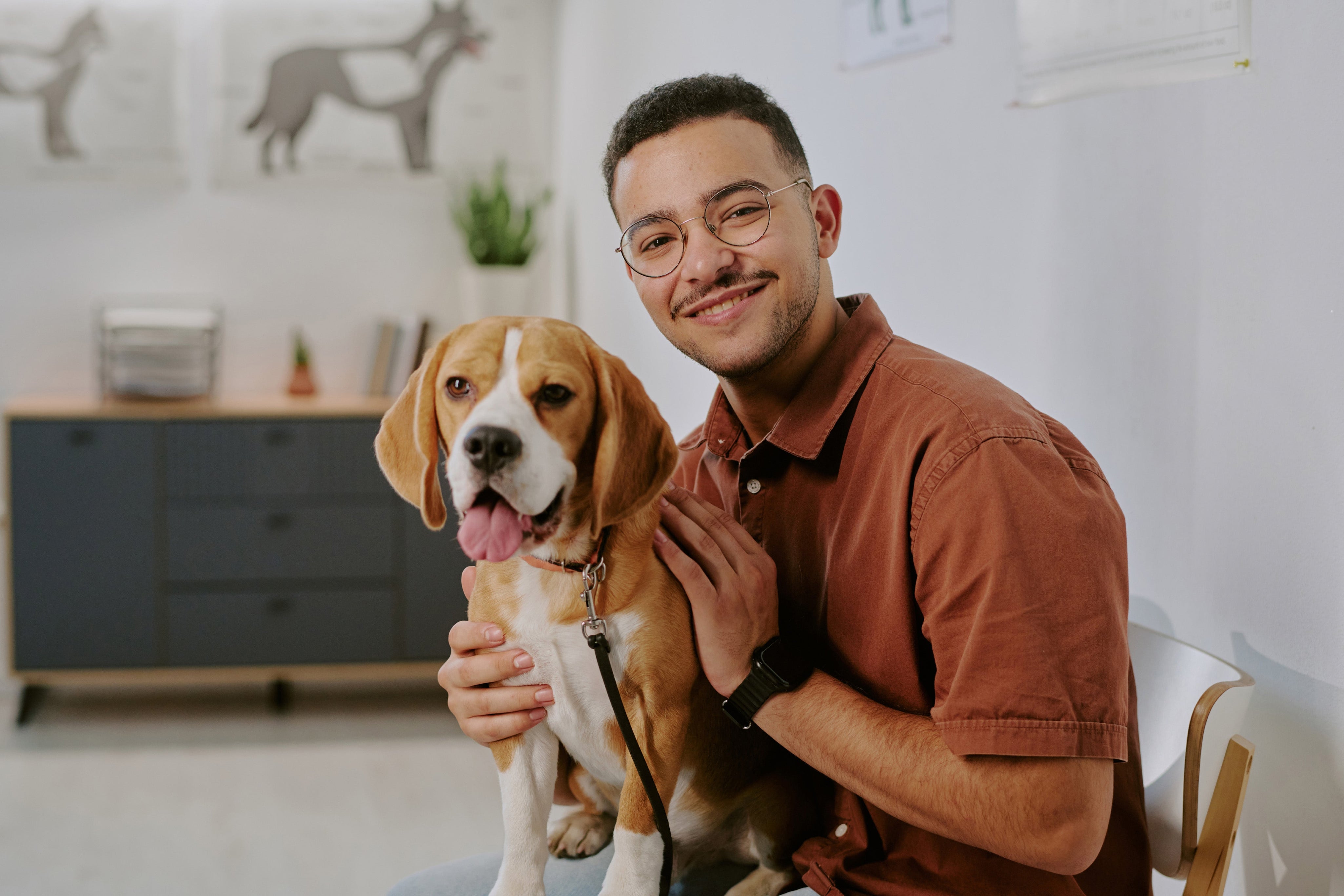The Gut-Skin Connection in Dogs – And Why Food May Be the Missing Link