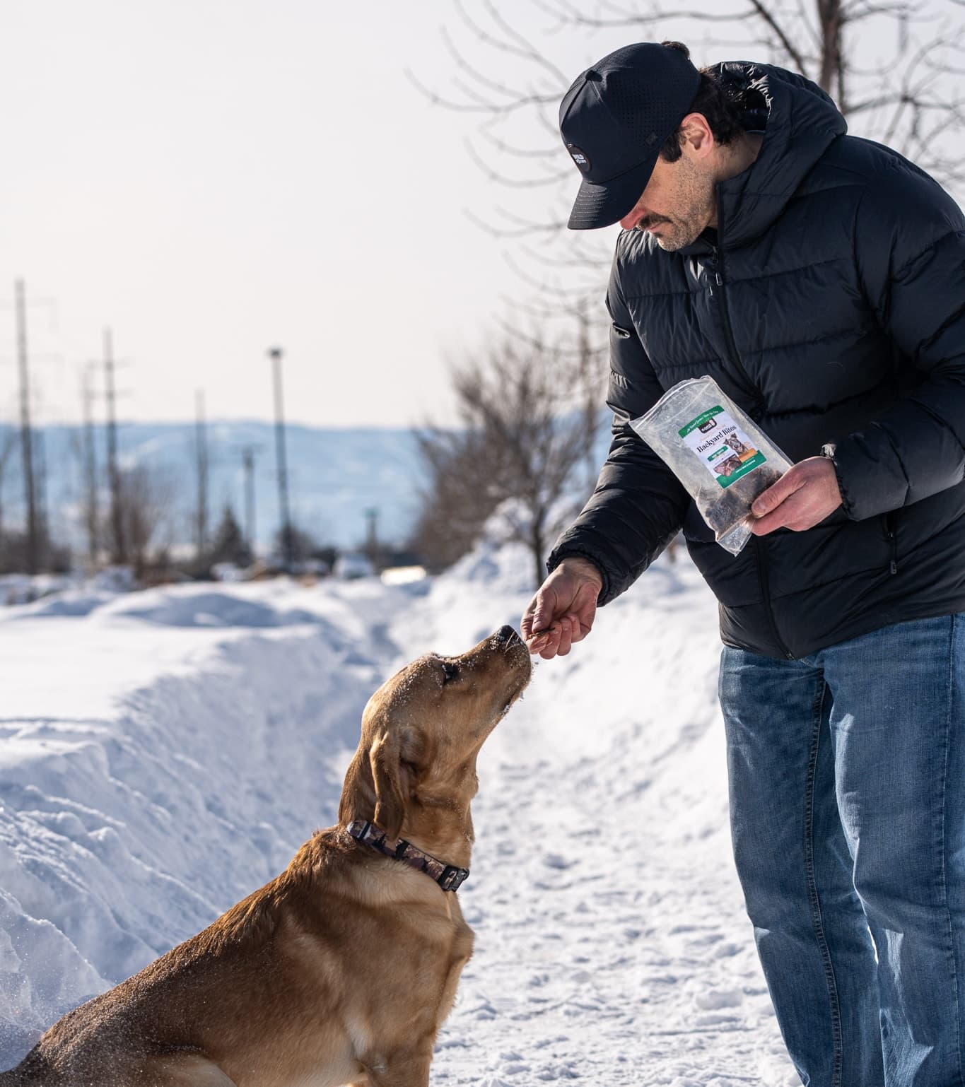 Elevate Backyard Bites Dog Treats