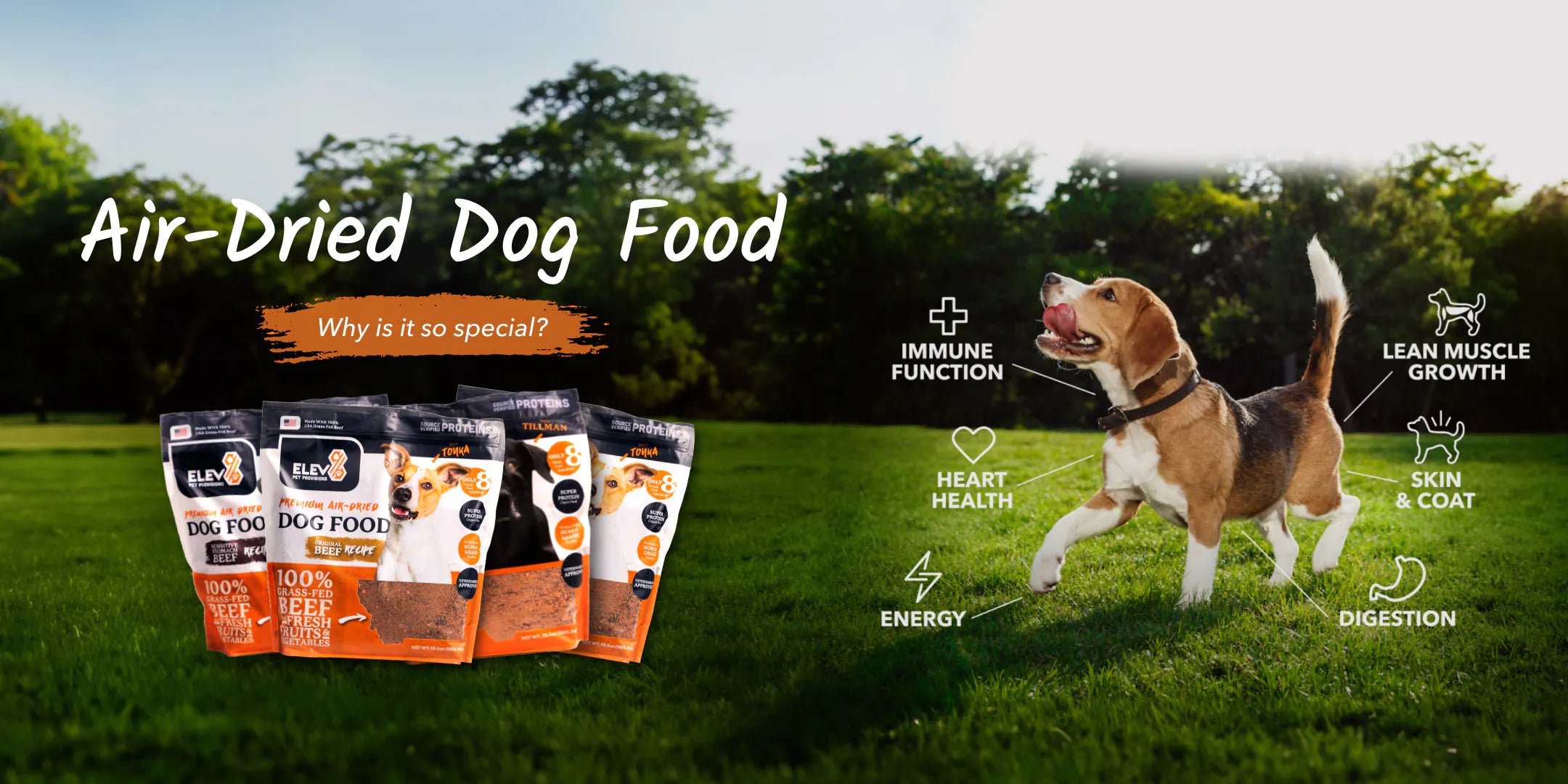 Air-Dried Dog Food - Why is it so special? - Immune Function - Heart Health - Energy - Lean Muscle Growth - Skin & Coat - Digestion