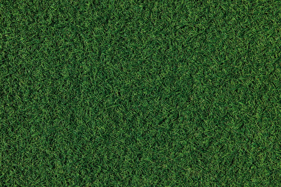 grass-bg.jpg