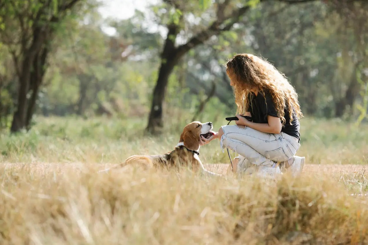 choosing healthy dog treats elevate pet