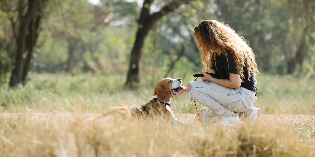 choosing healthy dog treats elevate pet