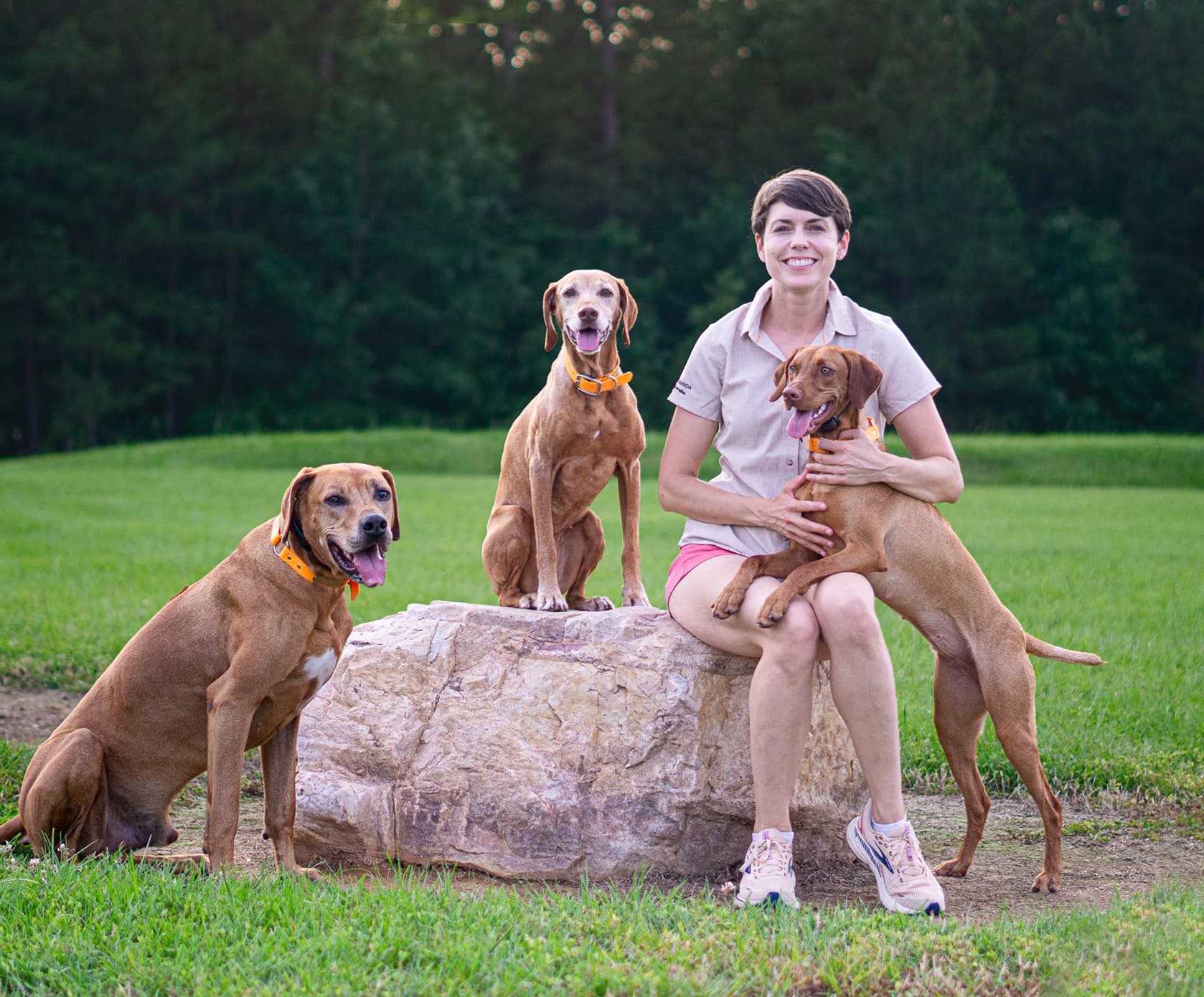 The Accidental Bird Dog: A Journey Fueled by Trust, Training, and Real Food