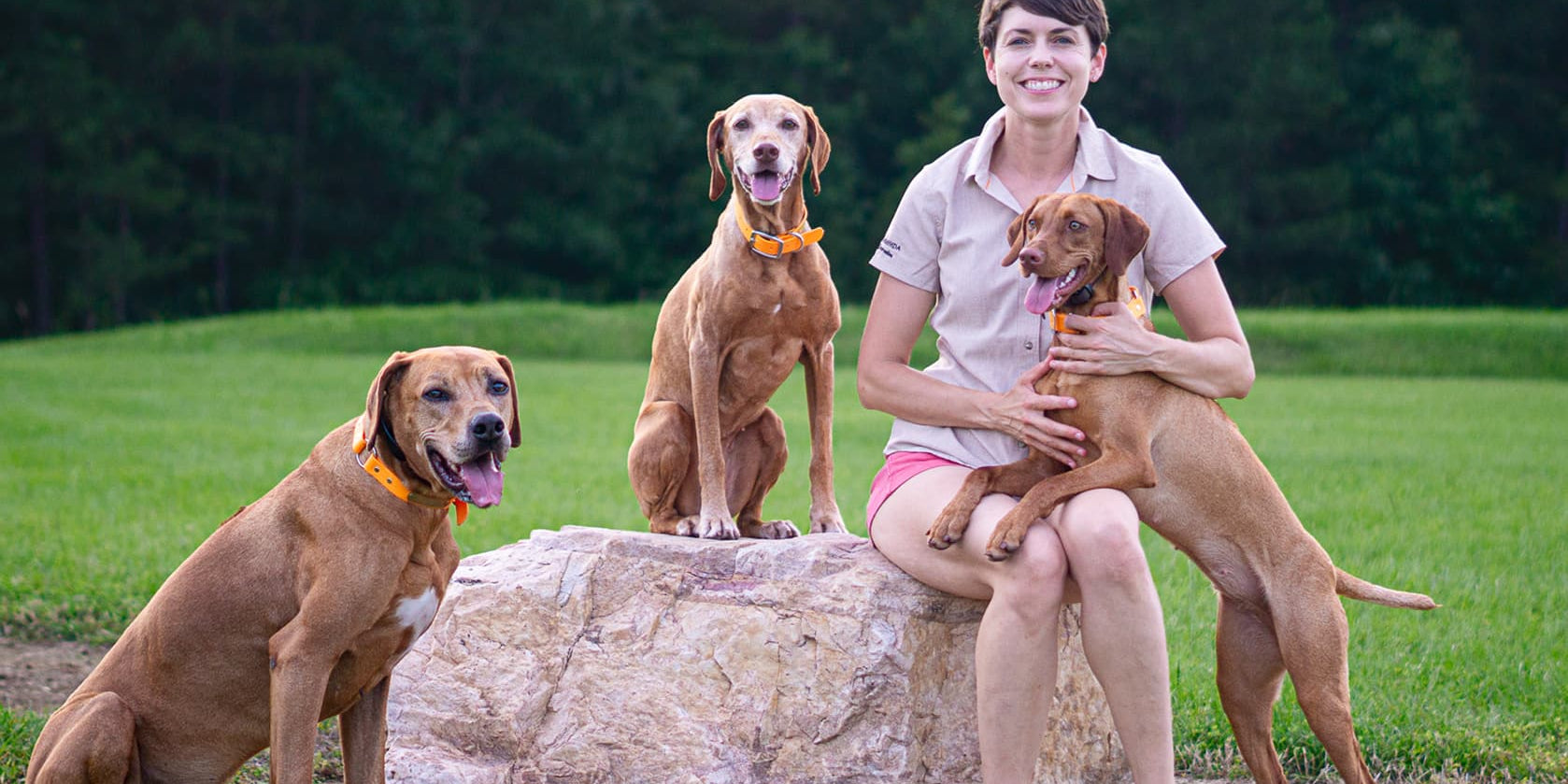 The Accidental Bird Dog: A Journey Fueled by Trust, Training, and Real Food