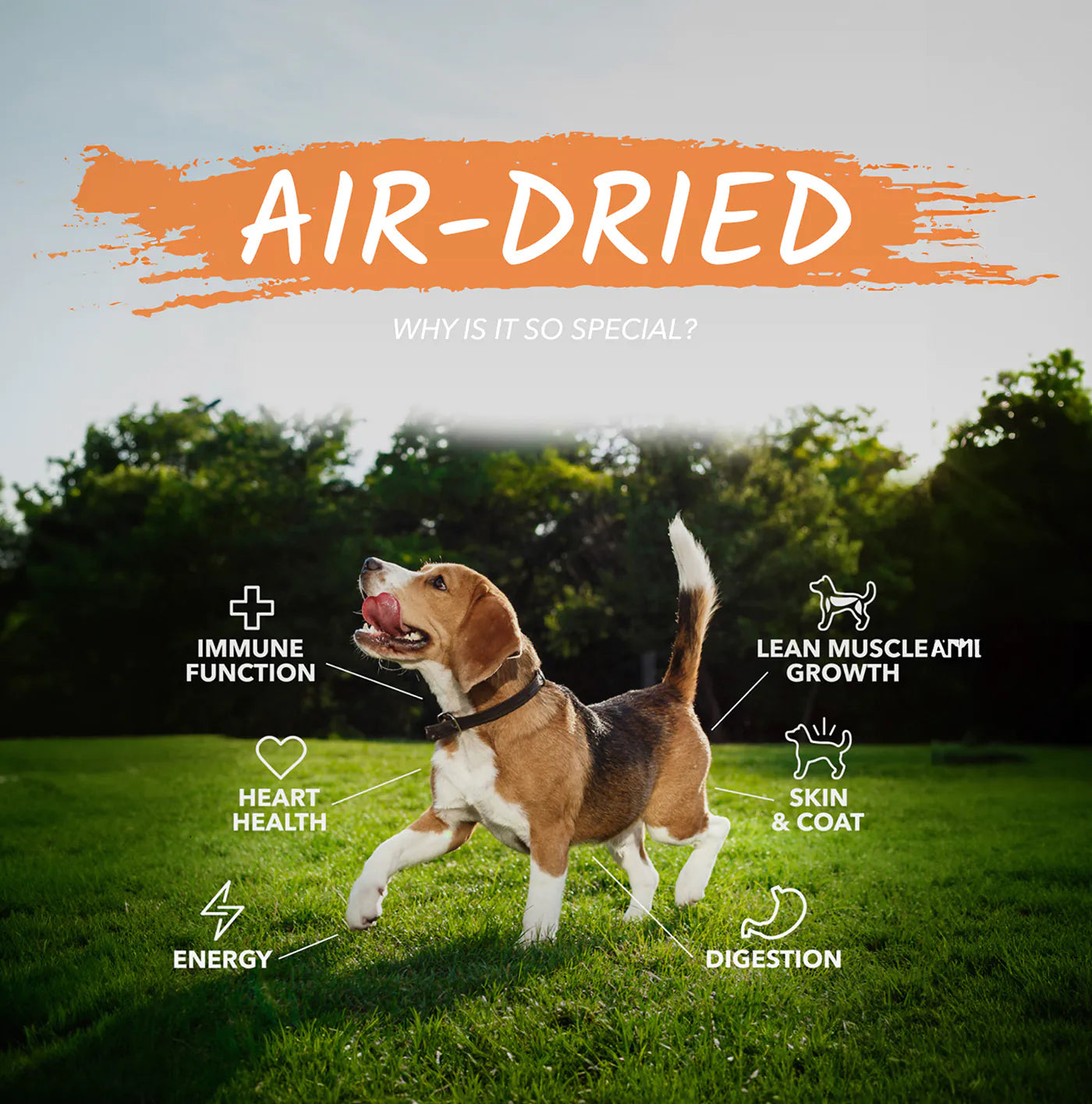 Air Dried - Why is it so special? - Immune Function - Heart Health - Energy - Lean Muscle Growth - Skin &amp; Coat - Digestion