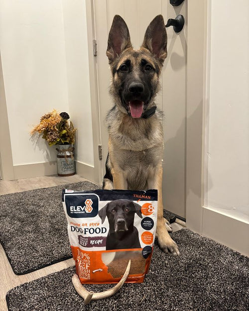 Elevate Pet Provisions Premium Pet Food Products