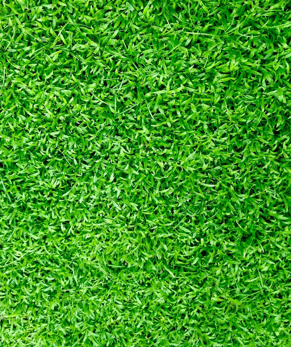 turf.webp